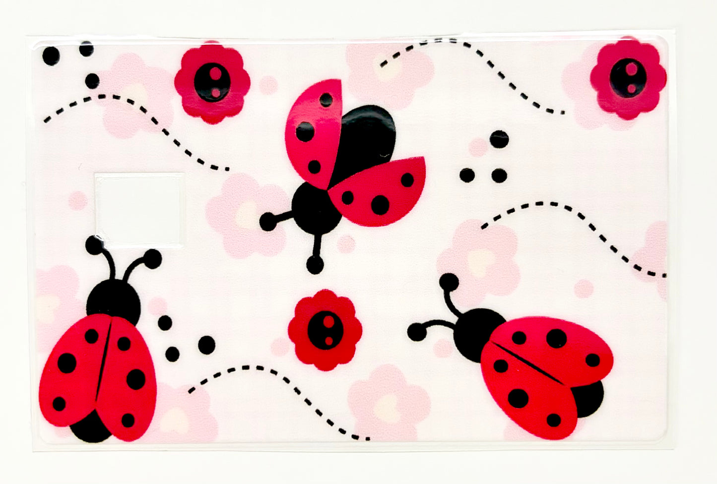 Lady Bug