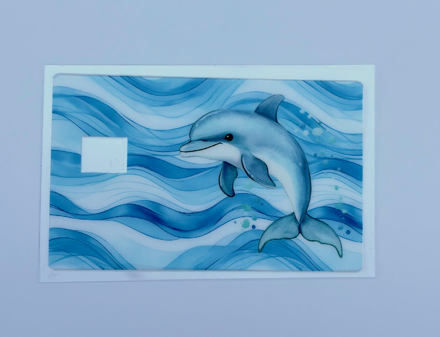 Dolphin