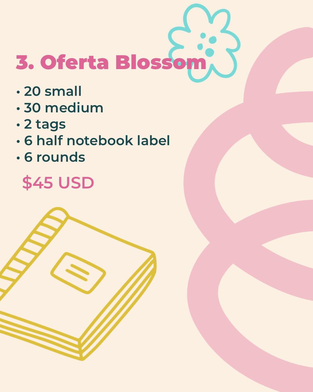 Back to School Offers