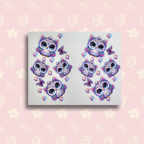 Cute Owl