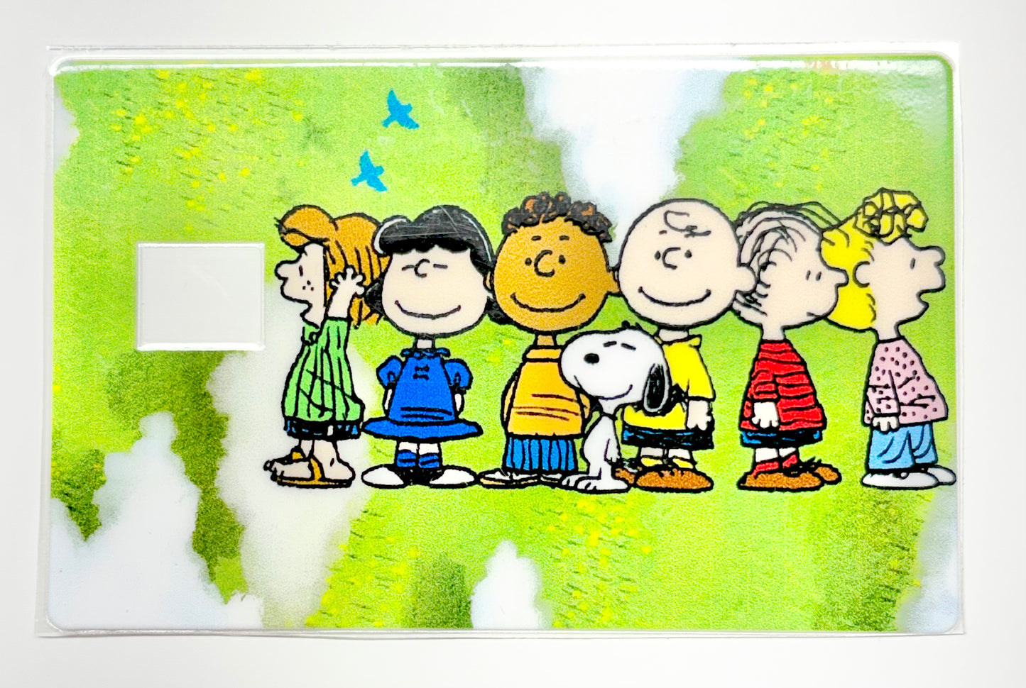White dog & friends