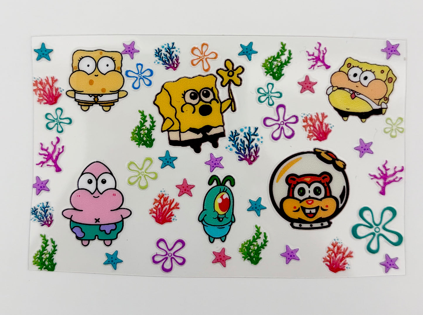 Sponge & Friends