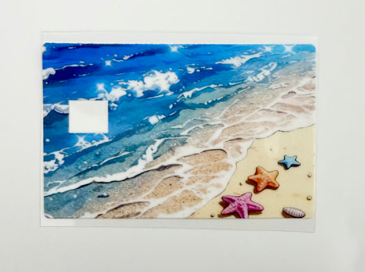 Beach and Starfish