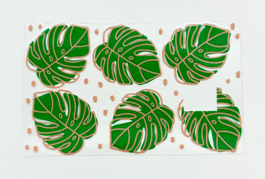 Monstera