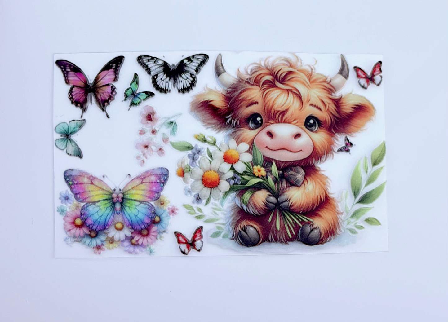 Cute Cow