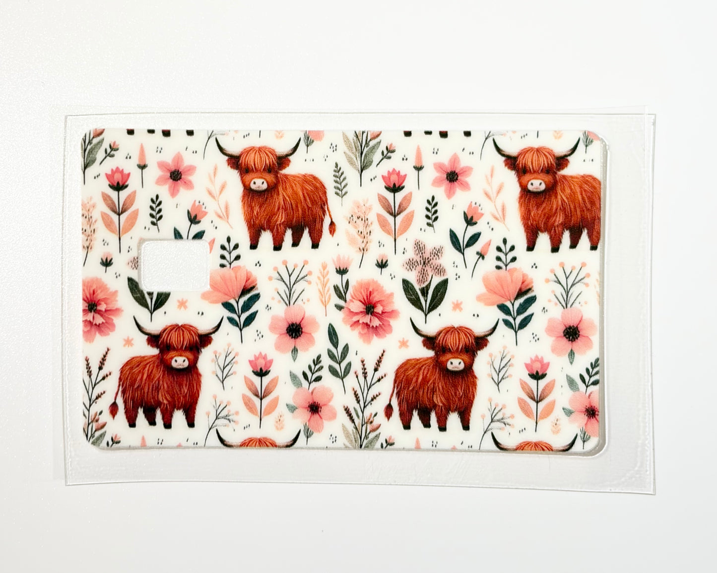 Highland Cow