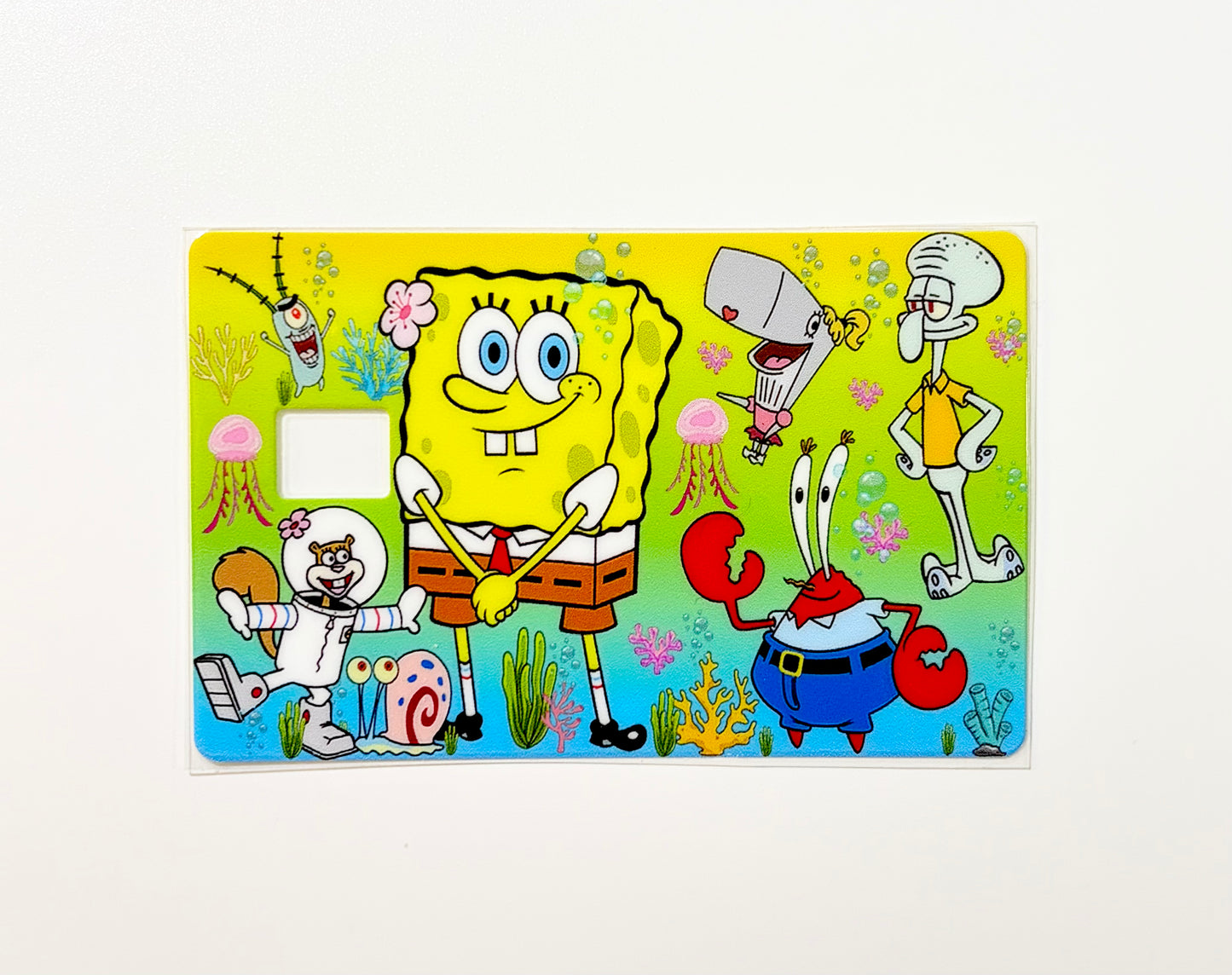 Sponge
