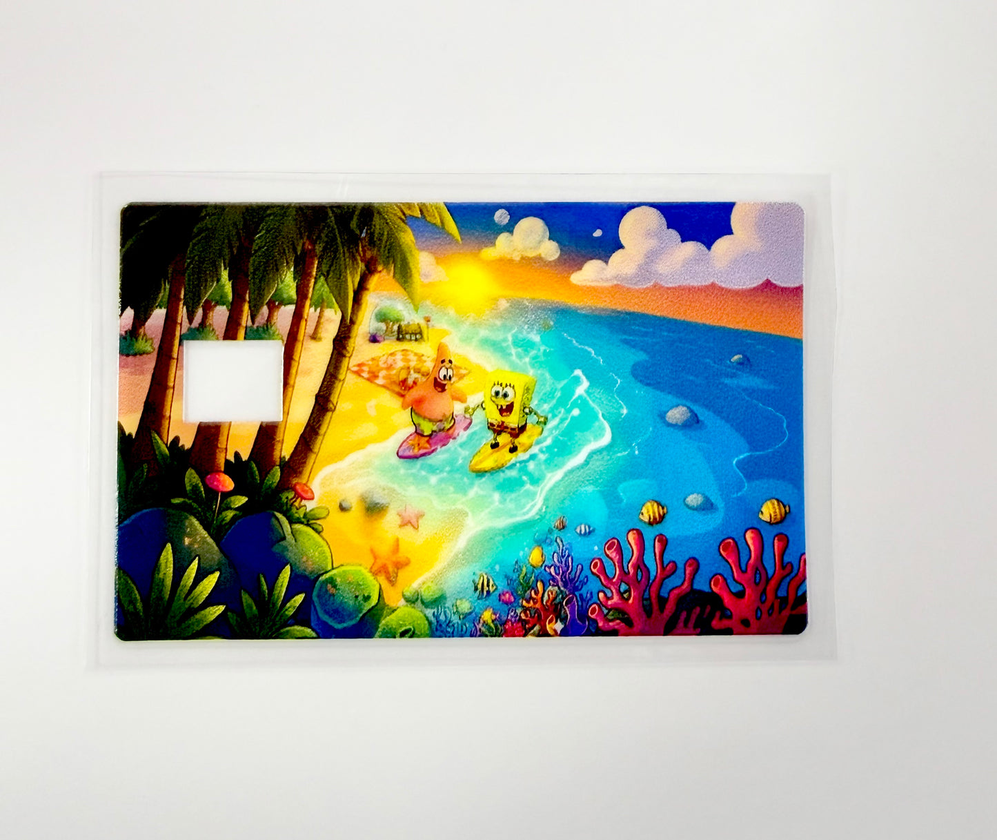 Sponge at the Beach